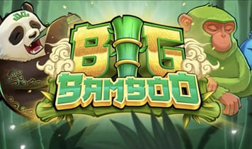 Big bamboo