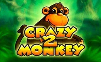 Crazy monkey